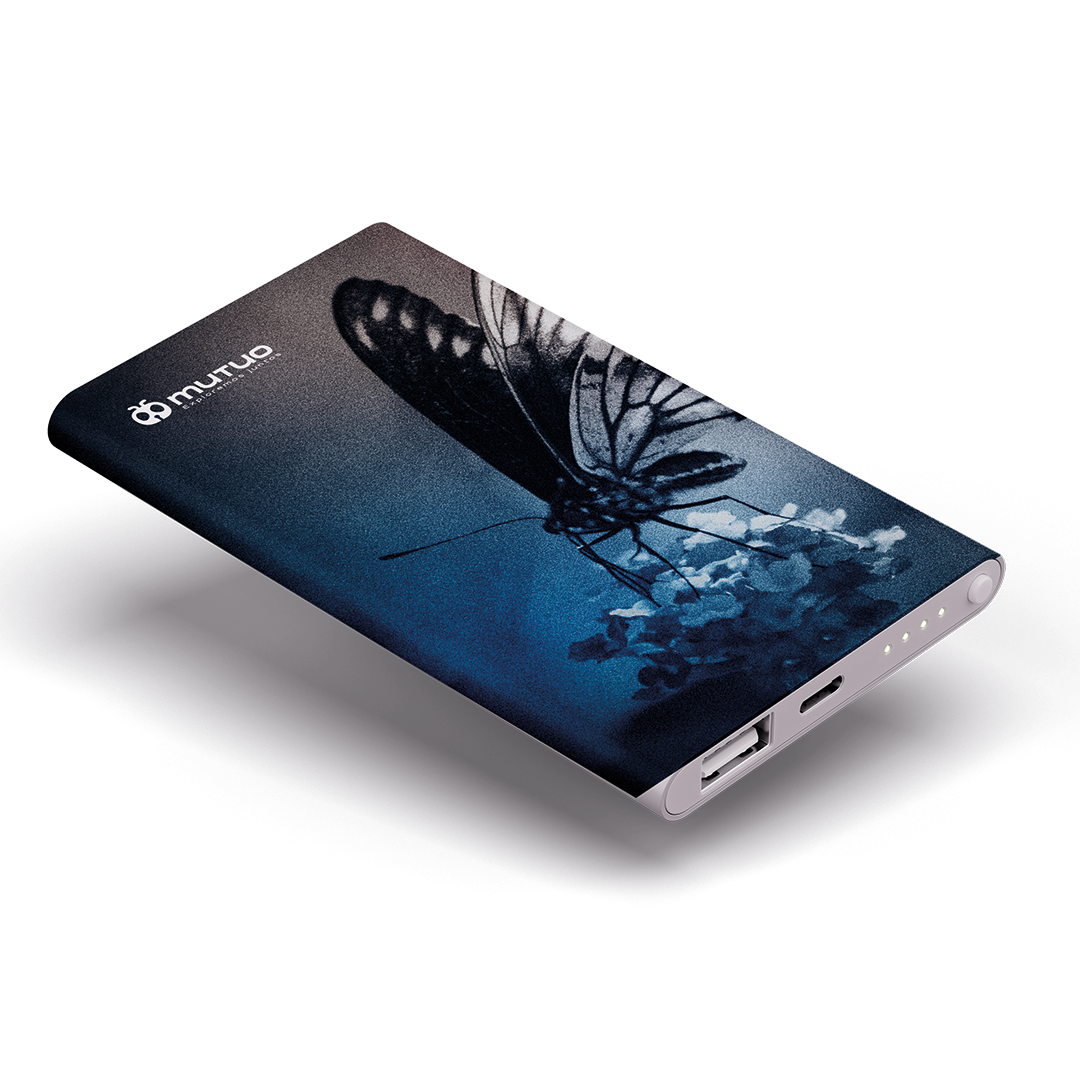 Bateria Portátil - Imagen 3